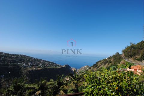 Villa i Ribeira Brava, Madeira, Ribeira Brava - € 165.000 | Ref: 006387 - foto 36