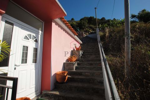 Villa i Ribeira Brava, Madeira, Ribeira Brava - € 165.000 | Ref: 006387 - foto 38