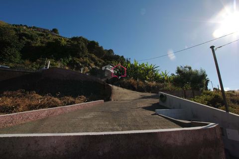 Villa i Ribeira Brava, Madeira, Ribeira Brava - € 165.000 | Ref: 006387 - foto 39