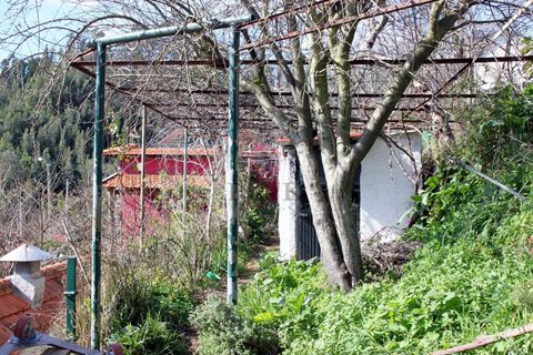 Villa a Camacha, Madeira, Camacha - € 150.000 | Ref: 005978 - foto 4