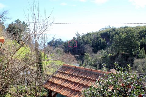Villa a Camacha, Madeira, Camacha - € 150.000 | Ref: 005978 - foto 5