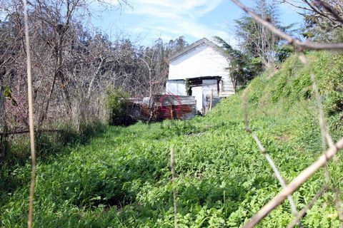 Villa a Camacha, Madeira, Camacha - € 150.000 | Ref: 005978 - foto 6