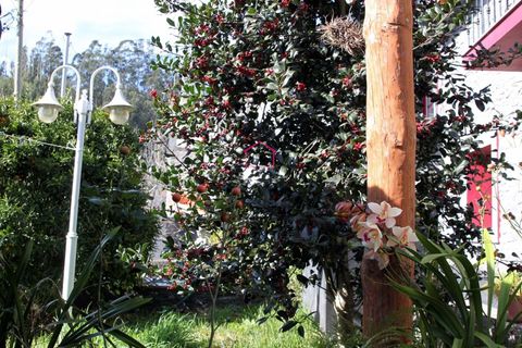 Villa a Camacha, Madeira, Camacha - € 150.000 | Ref: 005978 - foto 14