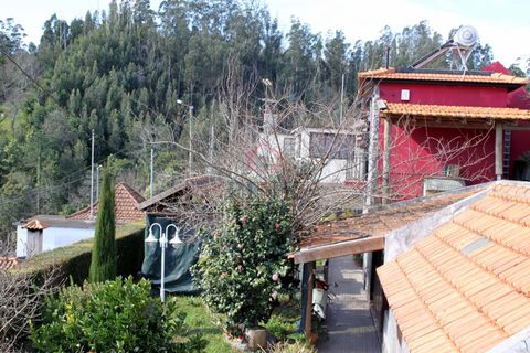 Villa a Camacha, Madeira, Camacha - € 150.000 | Ref: 005978 - foto 15
