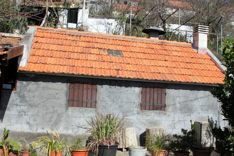 Villa a Camacha, Madeira, Camacha - € 150.000 | Ref: 005978 - foto 16