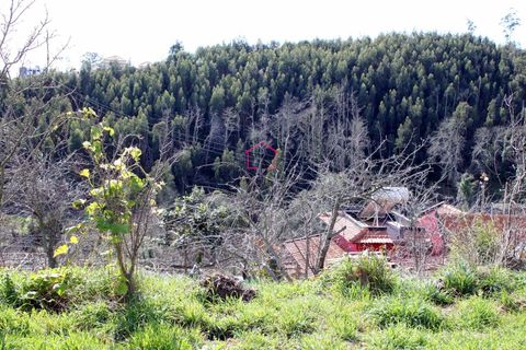 Villa a Camacha, Madeira, Camacha - € 150.000 | Ref: 005978 - foto 17