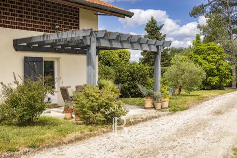 Landejendom i Albi, Tarn, Albi - € 1.280.000 | Ref: T350 - foto 22
