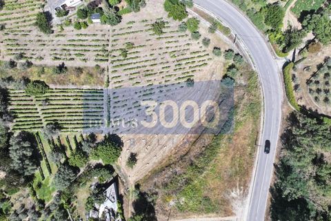 Helårsgrund i Vila Real, Vila Real, Vila Real - € 100.000 | Ref: TER_1501 - foto 2