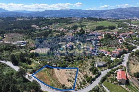 Helårsgrund i Vila Real, Vila Real, Vila Real - € 100.000 | Ref: TER_1501 - foto 3