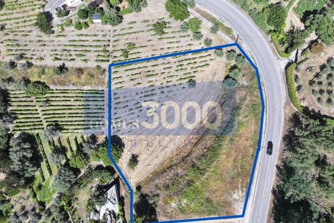 Helårsgrund i Vila Real, Vila Real, Vila Real - € 100.000 | Ref: TER_1501 - foto 4
