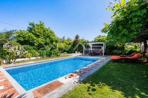 Villa i Ponte de Lima, Viana do Castelo, Ponte de Lima - € 425.000 | Ref: 01-3834 - foto 3