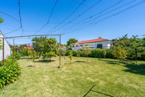 Villa i Ponte de Lima, Viana do Castelo, Ponte de Lima - € 425.000 | Ref: 01-3834 - foto 25