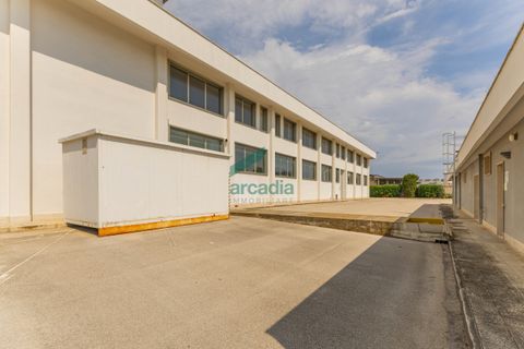 L'establiment comercial a Modugno, Bari, Modugno - € 4.000.000 | Ref: 12060/2026 - foto 8