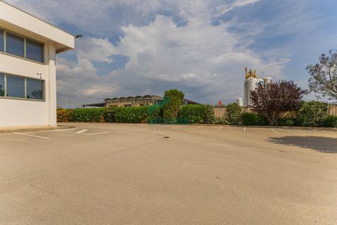 L'establiment comercial a Modugno, Bari, Modugno - € 4.000.000 | Ref: 12060/2026 - foto 9