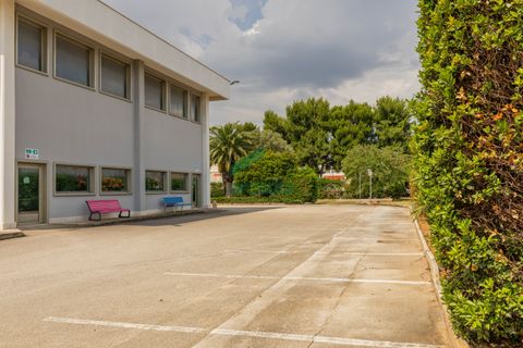 L'establiment comercial a Modugno, Bari, Modugno - € 4.000.000 | Ref: 12060/2026 - foto 12