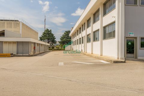 L'establiment comercial a Modugno, Bari, Modugno - € 4.000.000 | Ref: 12060/2026 - foto 13