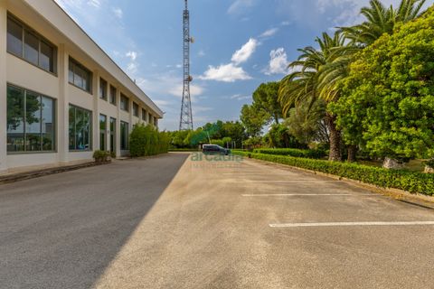 L'establiment comercial a Modugno, Bari, Modugno - € 4.000.000 | Ref: 12060/2026 - foto 16