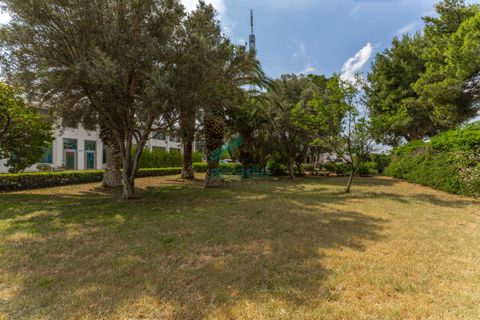 L'establiment comercial a Modugno, Bari, Modugno - € 4.000.000 | Ref: 12060/2026 - foto 18