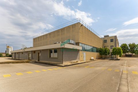 L'establiment comercial a Modugno, Bari, Modugno - € 4.000.000 | Ref: 12060/2026 - foto 22
