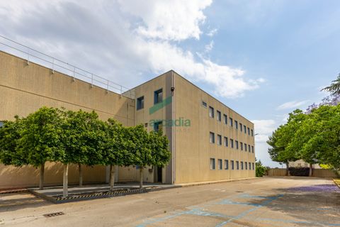 L'establiment comercial a Modugno, Bari, Modugno - € 4.000.000 | Ref: 12060/2026 - foto 24