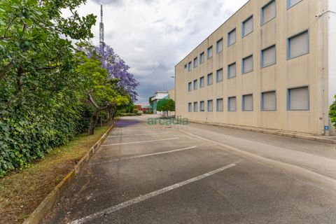 L'establiment comercial a Modugno, Bari, Modugno - € 4.000.000 | Ref: 12060/2026 - foto 25