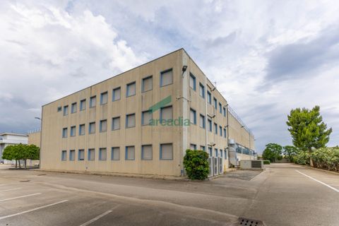 L'establiment comercial a Modugno, Bari, Modugno - € 4.000.000 | Ref: 12060/2026 - foto 26