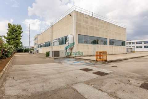L'establiment comercial a Modugno, Bari, Modugno - € 4.000.000 | Ref: 12060/2026 - foto 28