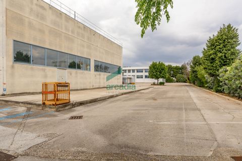 L'establiment comercial a Modugno, Bari, Modugno - € 4.000.000 | Ref: 12060/2026 - foto 29