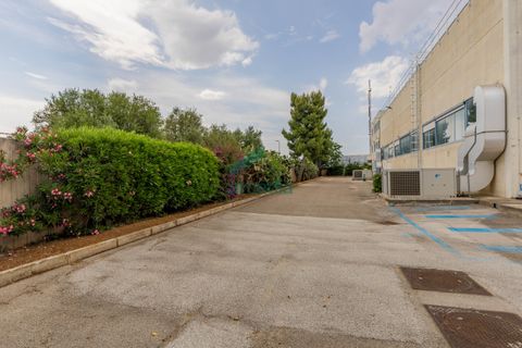 L'establiment comercial a Modugno, Bari, Modugno - € 4.000.000 | Ref: 12060/2026 - foto 30