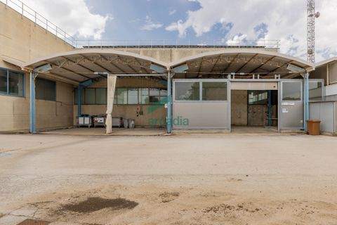 L'establiment comercial a Modugno, Bari, Modugno - € 4.000.000 | Ref: 12060/2026 - foto 31