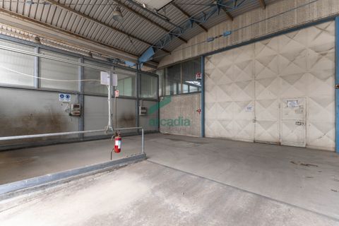 L'establiment comercial a Modugno, Bari, Modugno - € 4.000.000 | Ref: 12060/2026 - foto 33