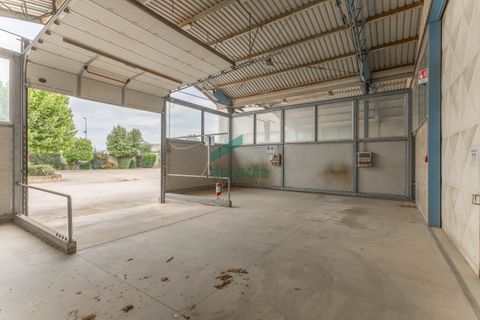 L'establiment comercial a Modugno, Bari, Modugno - € 4.000.000 | Ref: 12060/2026 - foto 35
