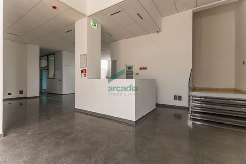 L'establiment comercial a Modugno, Bari, Modugno - € 4.000.000 | Ref: 12060/2026 - foto 37
