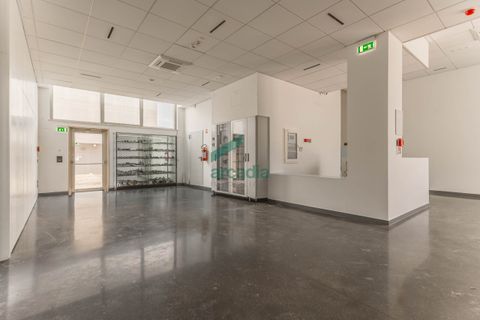 L'establiment comercial a Modugno, Bari, Modugno - € 4.000.000 | Ref: 12060/2026 - foto 39
