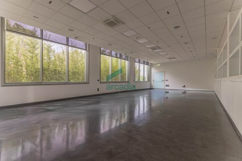 L'establiment comercial a Modugno, Bari, Modugno - € 4.000.000 | Ref: 12060/2026 - foto 43