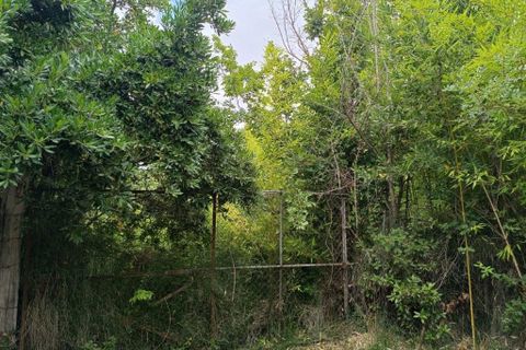 Villa i Canet, Aude, Canet - € 64.000 | Ref: 4253-COMPANY37719ULV - foto 15