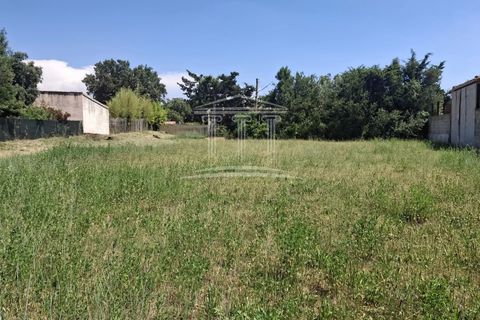 Terra a Sorgues, Vaucluse, Sorgues - € 190.000 | Ref: 8566 - foto 2