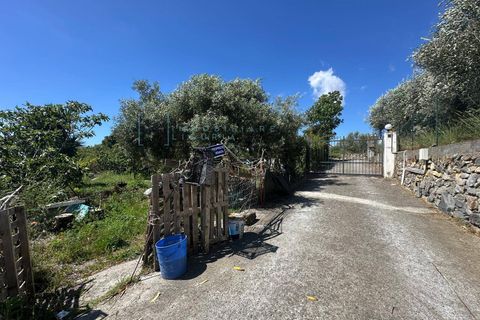 Terra a Albenga, Savona, Albenga - € 130.000 | Ref: 1047 - foto 2