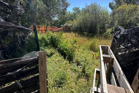 Terra a Albenga, Savona, Albenga - € 130.000 | Ref: 1047 - foto 4