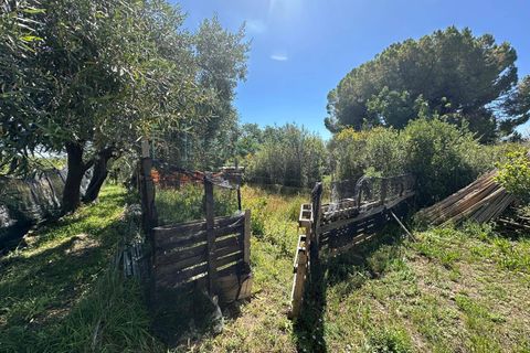 Terra a Albenga, Savona, Albenga - € 130.000 | Ref: 1047 - foto 5