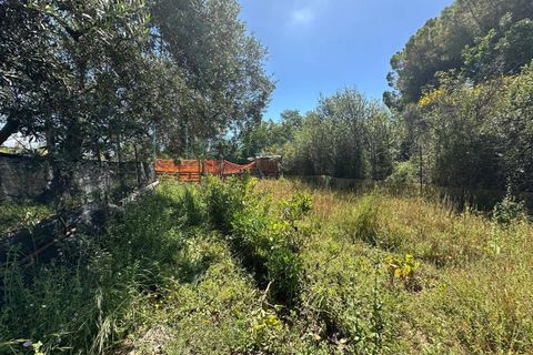 Terra a Albenga, Savona, Albenga - € 130.000 | Ref: 1047 - foto 6