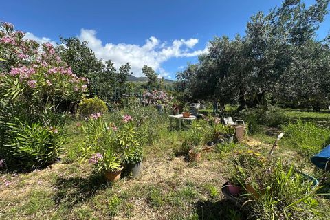 Terra a Albenga, Savona, Albenga - € 130.000 | Ref: 1047 - foto 9