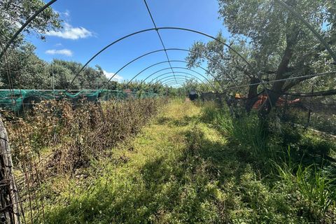 Terra a Albenga, Savona, Albenga - € 130.000 | Ref: 1047 - foto 10