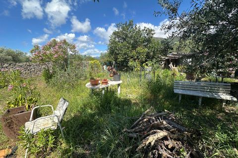 Terra a Albenga, Savona, Albenga - € 130.000 | Ref: 1047 - foto 11