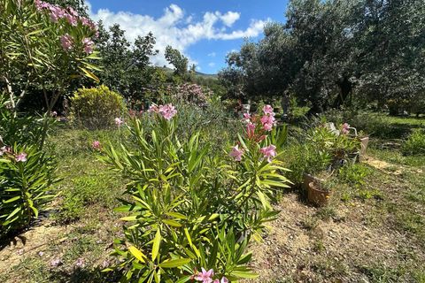 Terra a Albenga, Savona, Albenga - € 130.000 | Ref: 1047 - foto 12