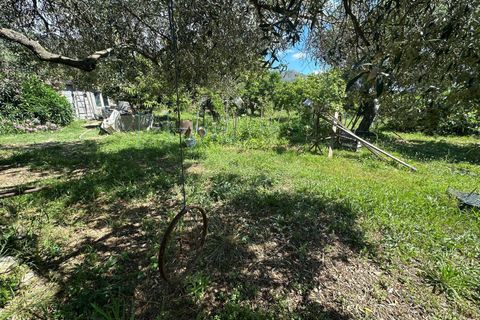 Terra a Albenga, Savona, Albenga - € 130.000 | Ref: 1047 - foto 13