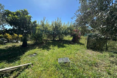 Terra a Albenga, Savona, Albenga - € 130.000 | Ref: 1047 - foto 14