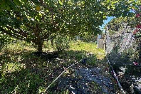 Terra a Albenga, Savona, Albenga - € 130.000 | Ref: 1047 - foto 15