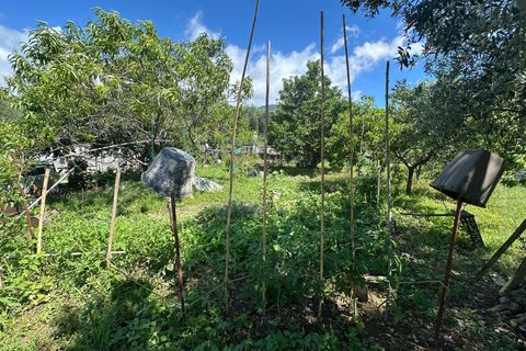 Terra a Albenga, Savona, Albenga - € 130.000 | Ref: 1047 - foto 16