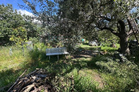 Terra a Albenga, Savona, Albenga - € 130.000 | Ref: 1047 - foto 17